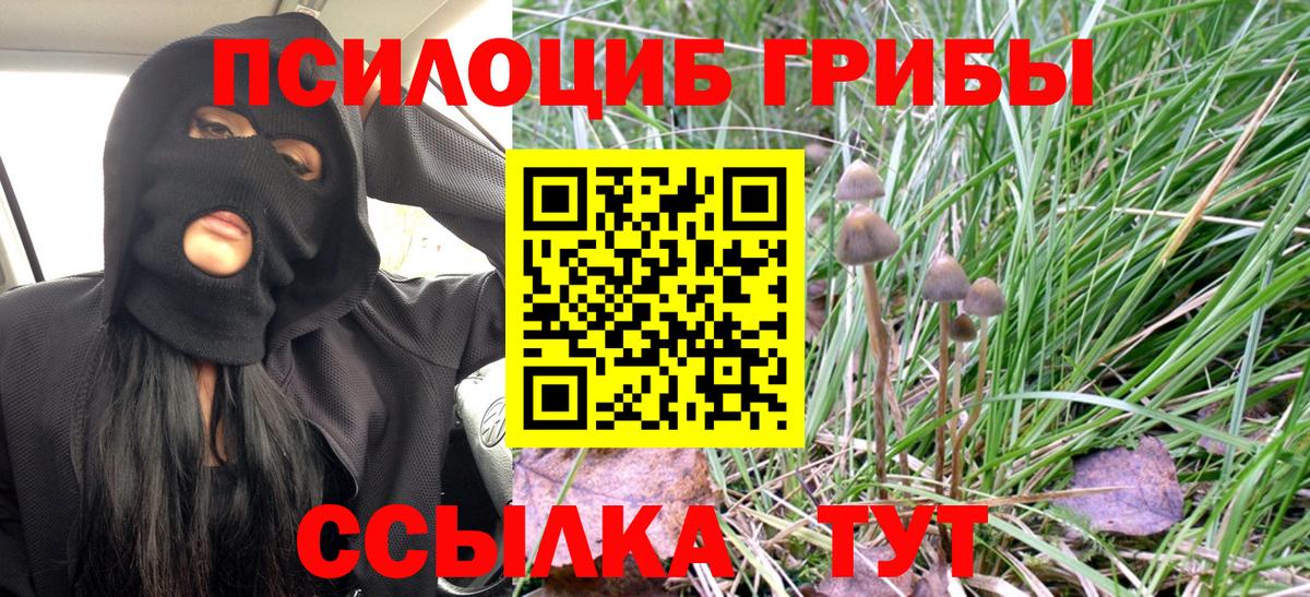 Галлюциногенные грибы GOLDEN TEACHER  Вход с VPN  Ликино-Дулёво 